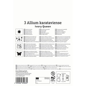 Verpackung Kiepenkerl Blumenzwiebel Zierlauch Ivory Queen, 3 Stück.