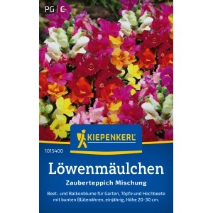 Kiepenkerl Löwenmäulchen Zauberteppich Mischung mit bunten Blüten in rot, gelb, rosa und weiß.