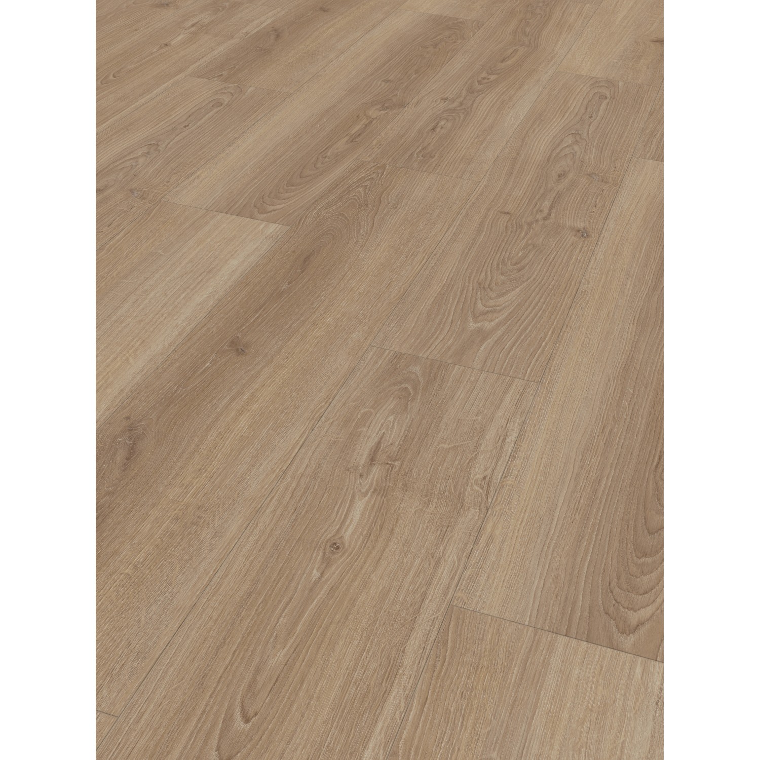 Parador Laminatboden Basic 600 Landhausdiele Studioline LHD Eiche