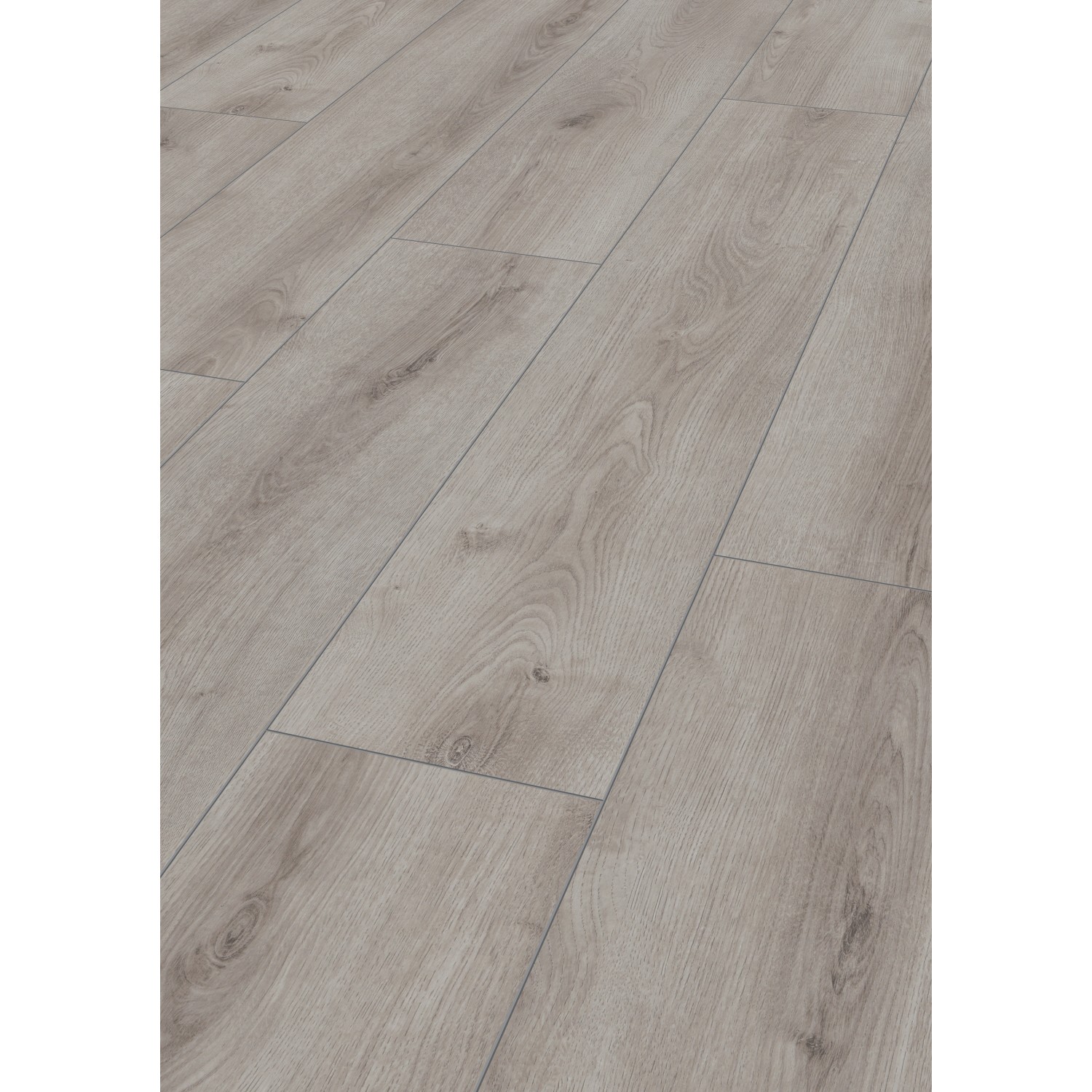 Jangal Laminatboden National Park Line Pro Dry Oak günstig online kaufen
