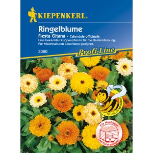 Kiepenkerl Ringelblume Fiesta Gitana, gelb-orange Blüten im Beet.