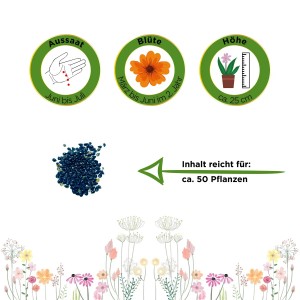 Vergissmeinnicht Indigo Compacta Blue Samen: Infos zu Aussaat, Blüte und Höhe. Inhalt reicht für ca. 50 Pflanzen.