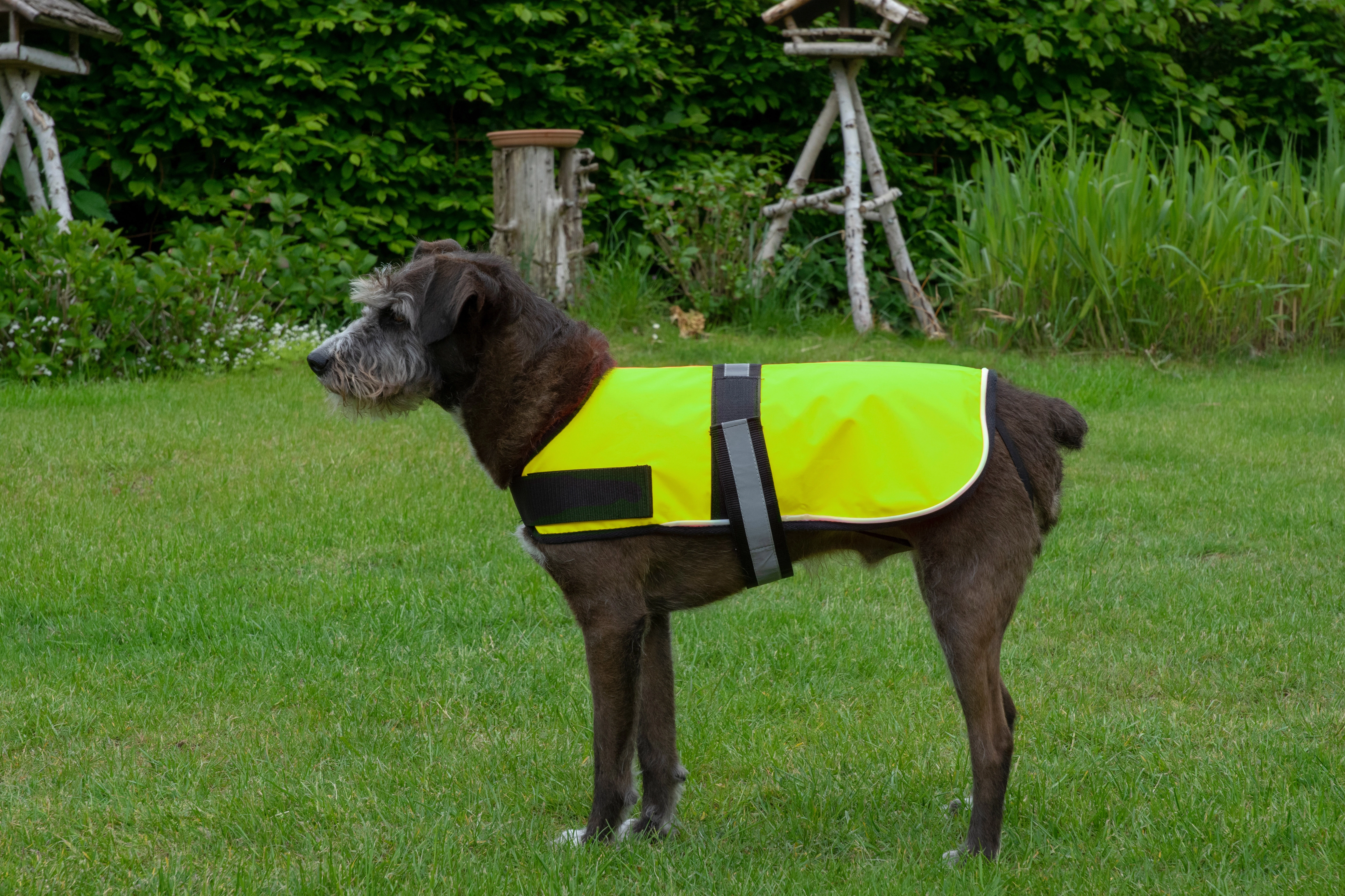 Wald & Forst Warnweste Hund (Größe S (Umfang Hals 25–40 cm, Brust 30–50  cm)) - Drückjagd & Nachsuche - Hundebedarf - Ausrüstung - Jagd Online Shop