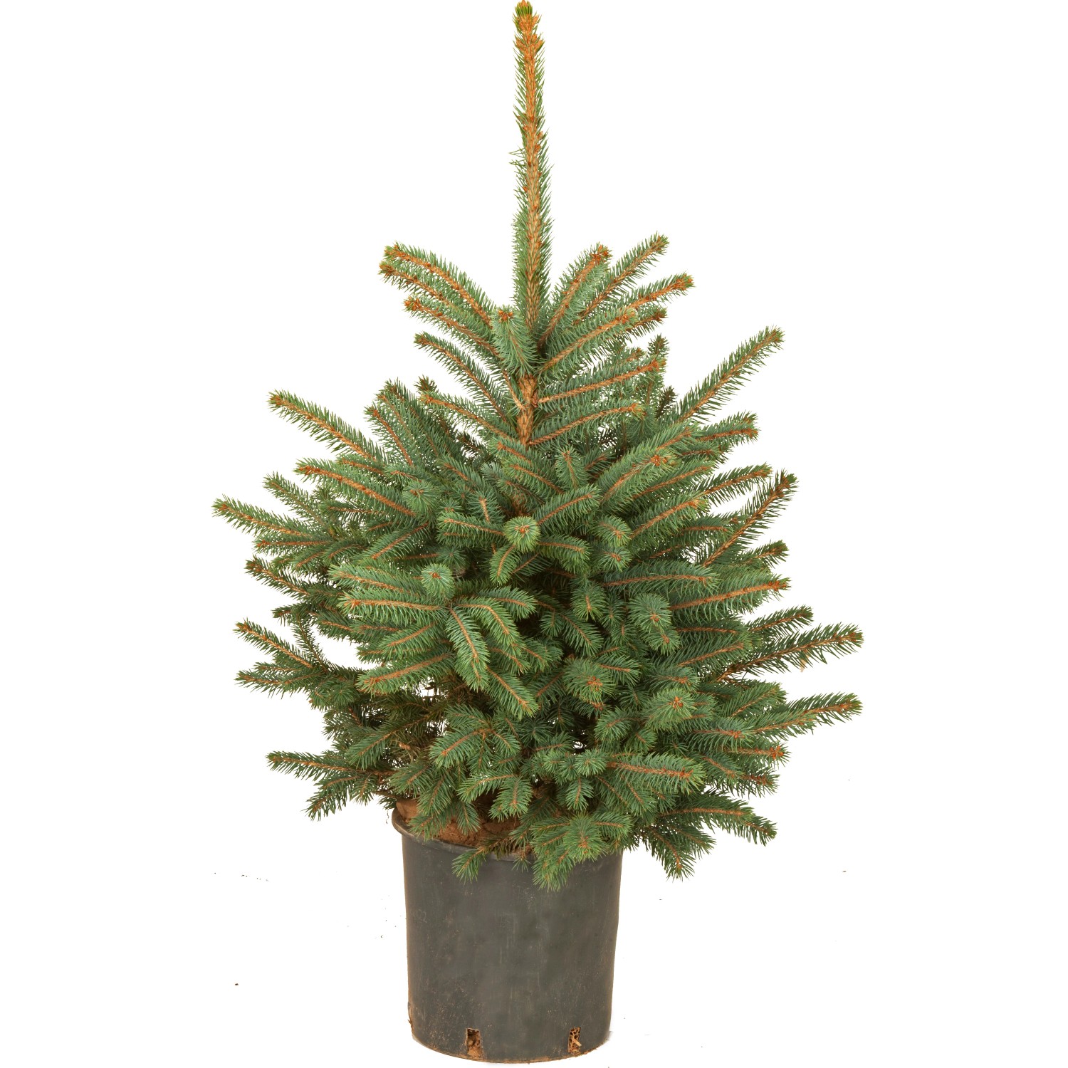 knstlicher grabstrau Grabschmuck Trockenblumen Mix Wei Natur Natur Exoten Seide Strau kn