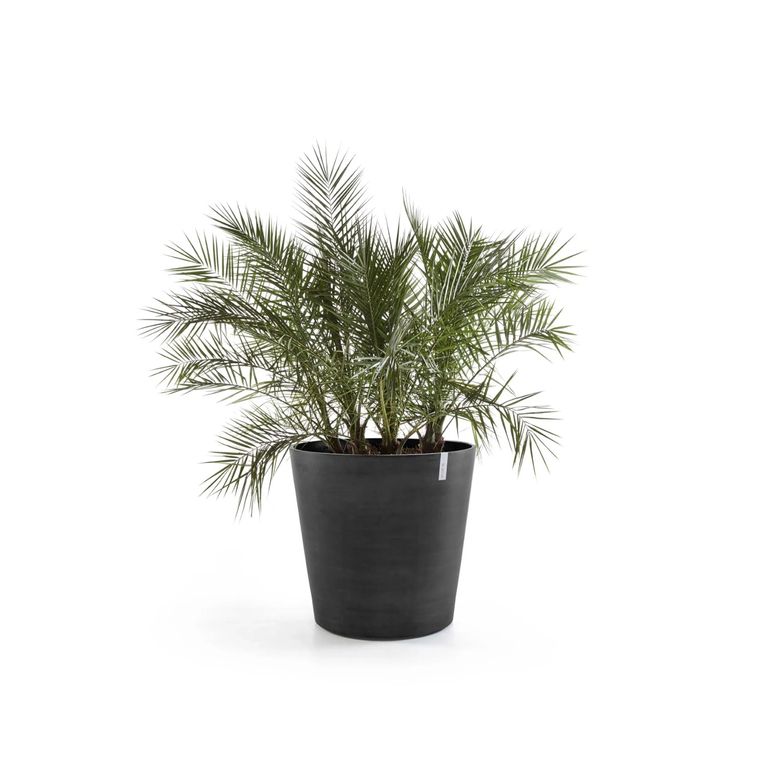 unterteller fr blumenksten Bergs Potter Unterteller fr Blumentopf "The Hoff Pot"