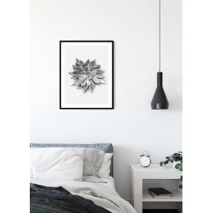 Komar Wandbild: Agave Sukkulente im Rahmen, 40x50 cm. Dekorative Pflanzen-Kunst für Ihr Zuhause.