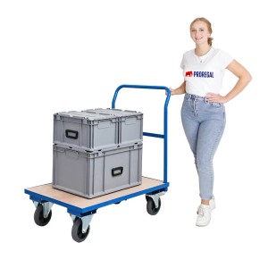 PROREGAL Profi Plattformwagen, lichtblau, mit zwei grauen Boxen und einer Frau.