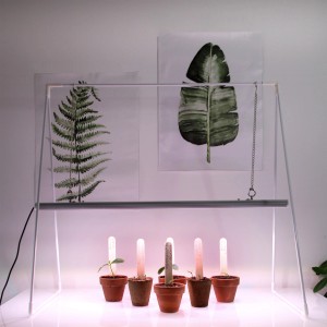 Parus LED-Wachstumslampe GrowLight Duo mit Stativ und Pflanzen in Töpfen unter dem Licht.