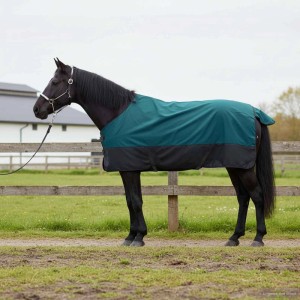 vidaXL Pferdedecke, dunkelgrün/schwarz, 155cm, Polyester. Atmungsaktive, wasserdichte Decke für Pferde.