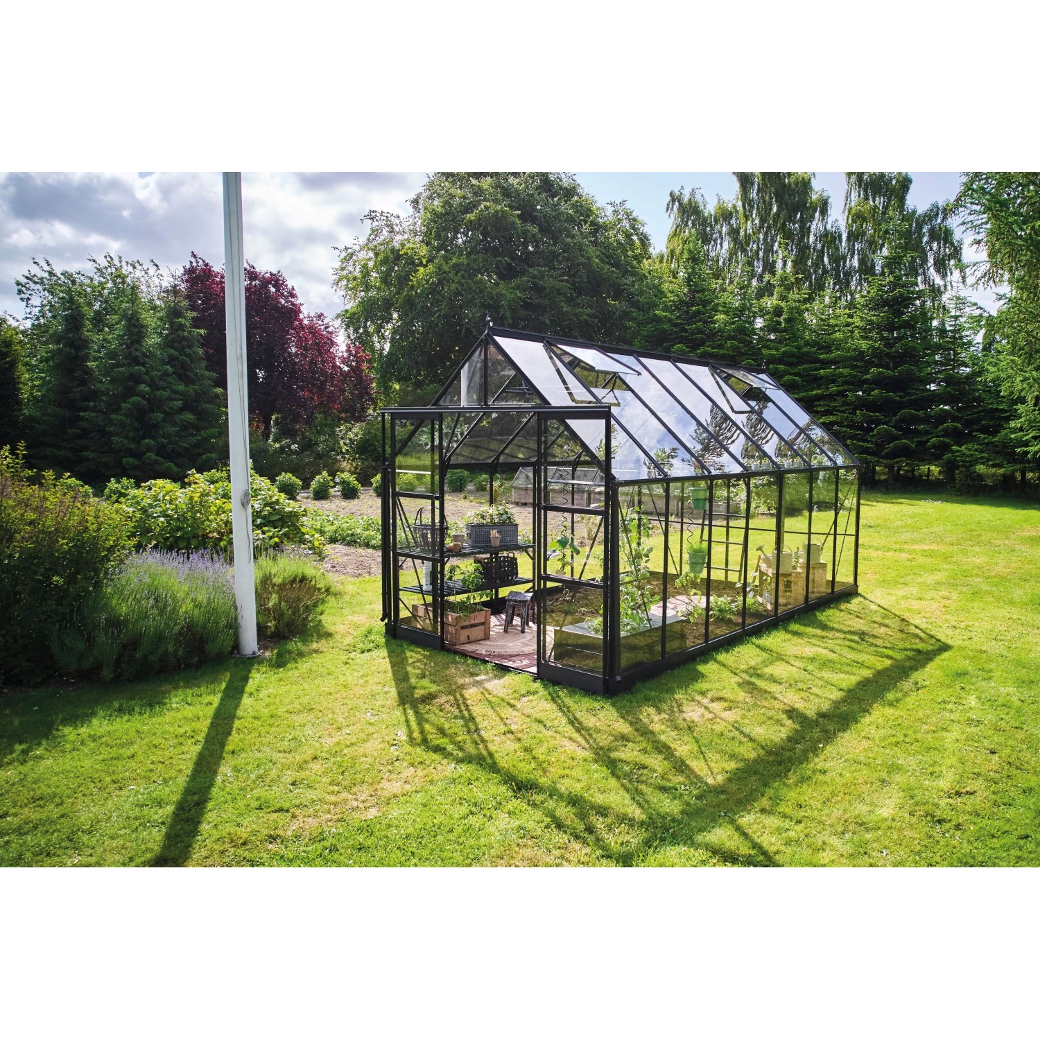 Halls Gewächshaus Icon 8 Schwarz 11,2 m² günstig online kaufen