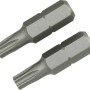 Zwei LUX Standard Bits Classic TX25 aus Stahl für Schraubarbeiten.