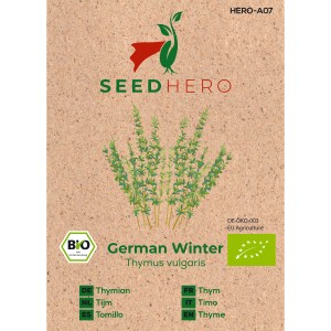 Seedhero BIO Thymian German Winter Samen für ca. 150 Pflanzen.