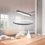 Moderne LED Pendelleuchte Circle in Anthrazit, zwei Ringe, warmweißes Licht, Design-Stehlampe.
