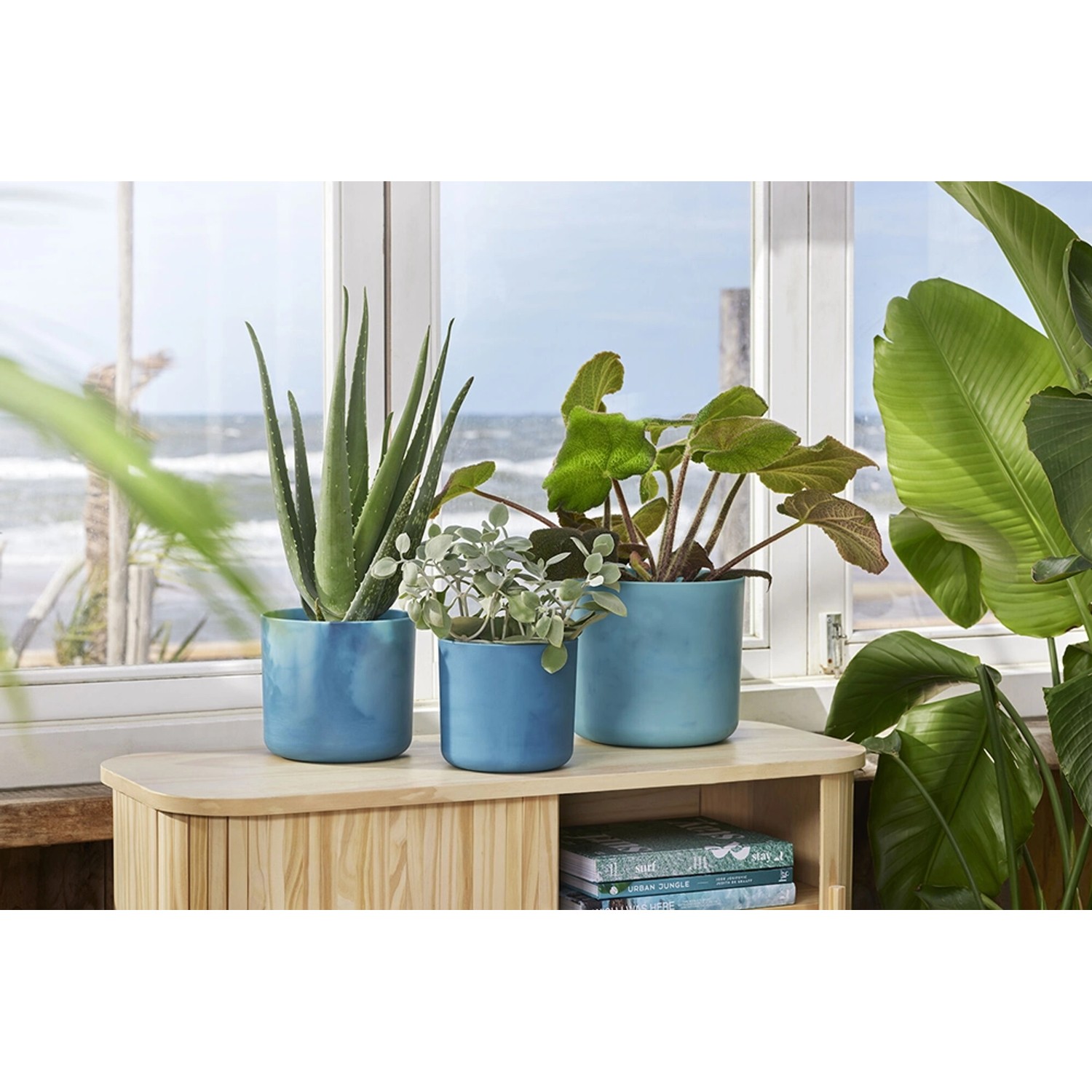 Drei blaue Elho Blumentöpfe Ocean Collection (Ø 16 cm) auf einem Holzschrank vor einem Fenster.