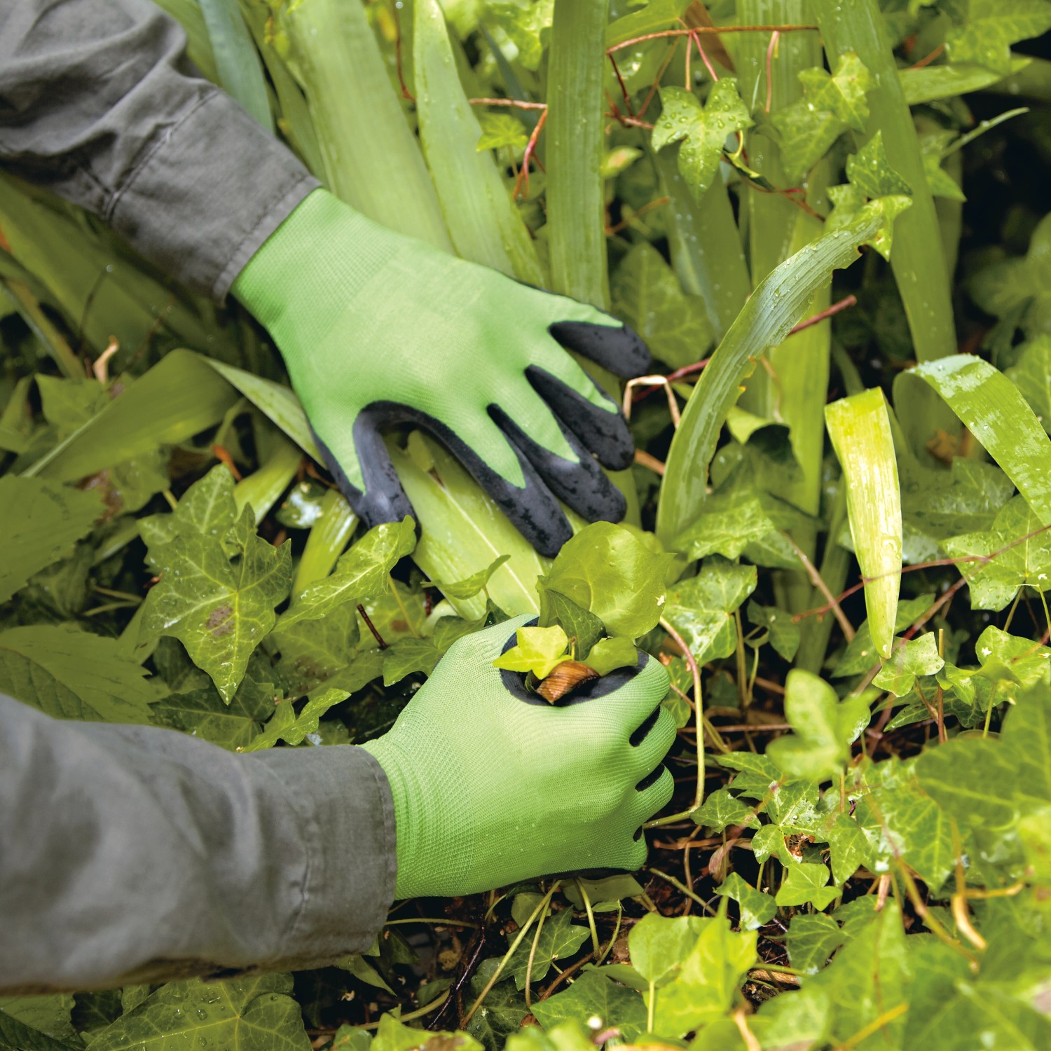 Gartenhandschuh Latex-Teilbeschichtung Grün Größe 10