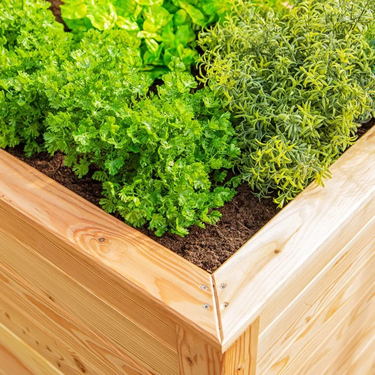 Westmann Hochbeet aus Lärche mit Bepflanzung, Detailansicht der Holzstruktur und Pflanzen.