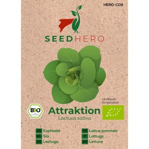Seedhero BIO Kopfsalat Attraktion Samen Packung mit Salat-Abbildung.