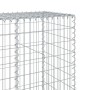 Silberne vidaXL Gabione mit Deckel, 120x50x200 cm, aus Eisendraht für Hochbeete.