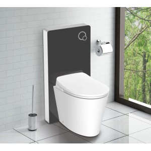 Glasdeals Sanitärmodul mit Stand-WC und schwarzer Glasfront. Inklusive Betätigungsplatte.