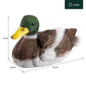 Schwimmender Erpel als detailgetreue Gartenfigur für den Teich oder das Beet.