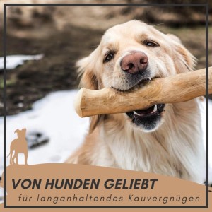 Supravit Kaffeeholz Kauknochen Größe M  Kauspielzeug für Hunde