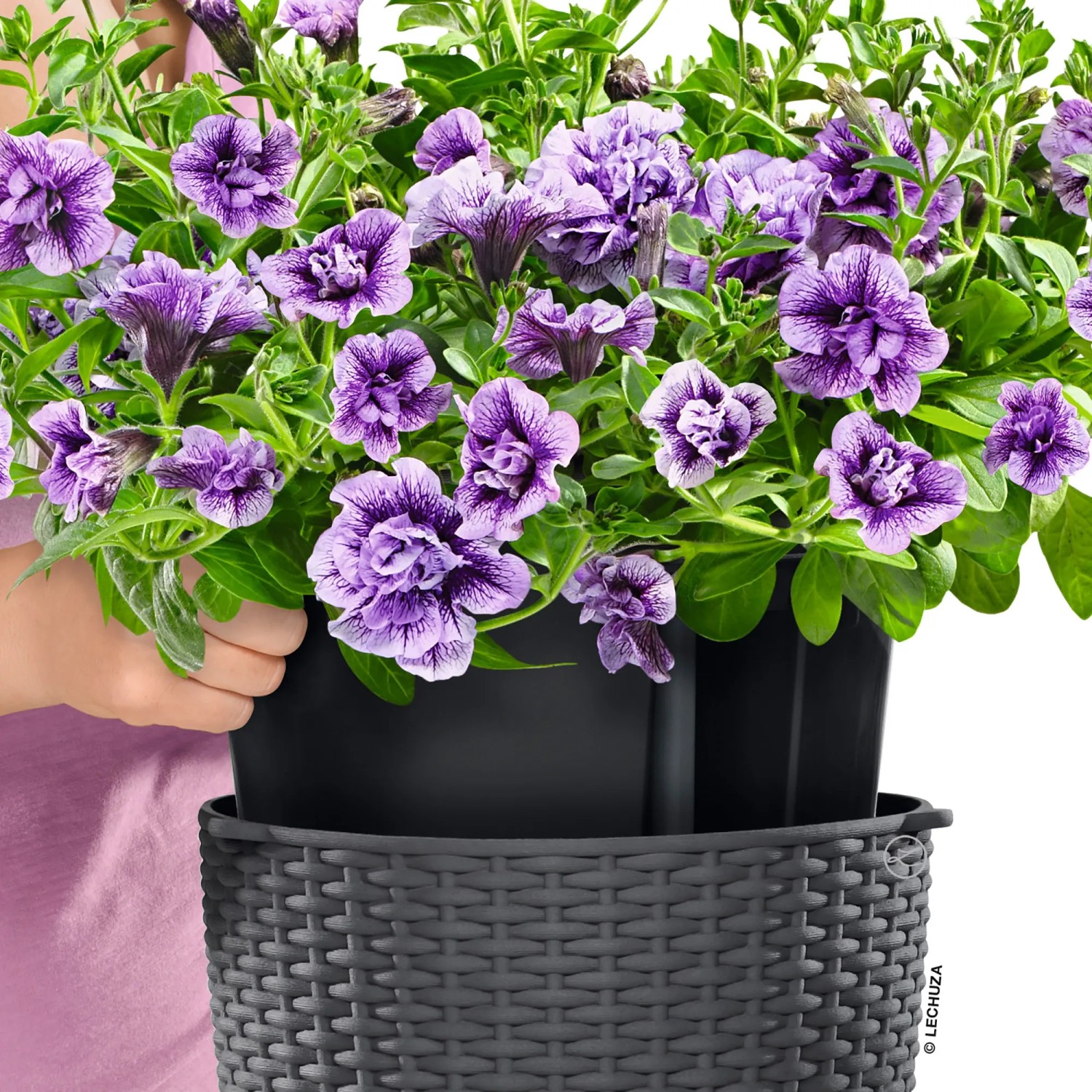 Weiße Lechuza Nindo Cottage Hängeampel (Ø 35 cm) mit lila Petunien und integriertem Bewässerungssystem.