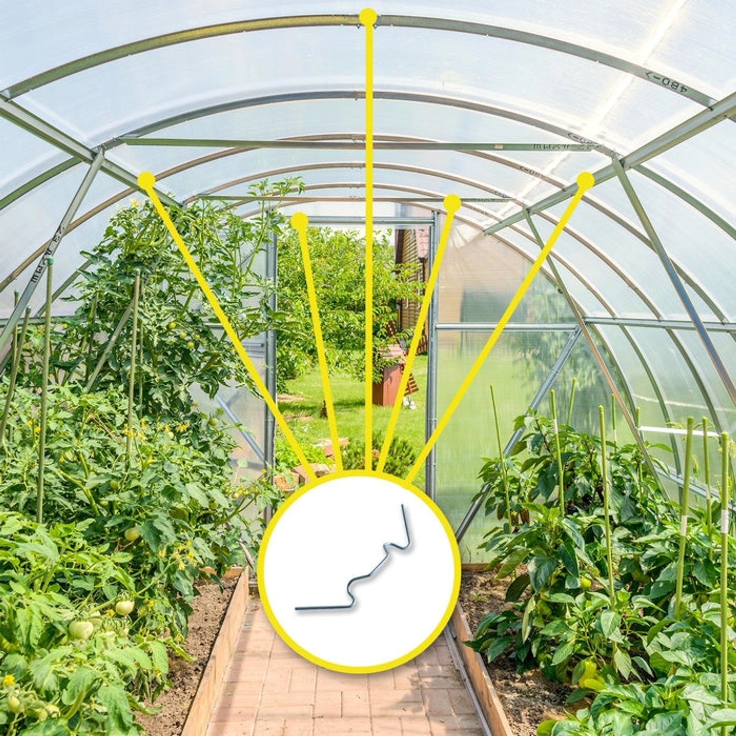 Karat Gewächshausklammern zur Montage von Doppelstegplatten im Gewächshaus.