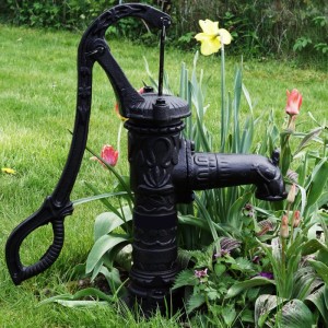Schwarze TRUTZHOLM Schwengelpumpe aus Gusseisen im Garten zwischen Blumen.