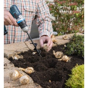 Westfalia Pflanzbohrer-Set im Einsatz: Löcher bohren zum Pflanzen von Blumenzwiebeln im Garten.