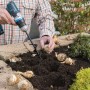 Westfalia Pflanzbohrer-Set im Einsatz: Löcher bohren zum Pflanzen von Blumenzwiebeln im Garten.