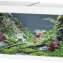 Eheim VivalineLED 180 Aquarium-Komplettset, weiß, 180 l, mit Pflanzen und Deko.