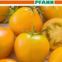 SAMEN PFANN Tomate Goldene Königin