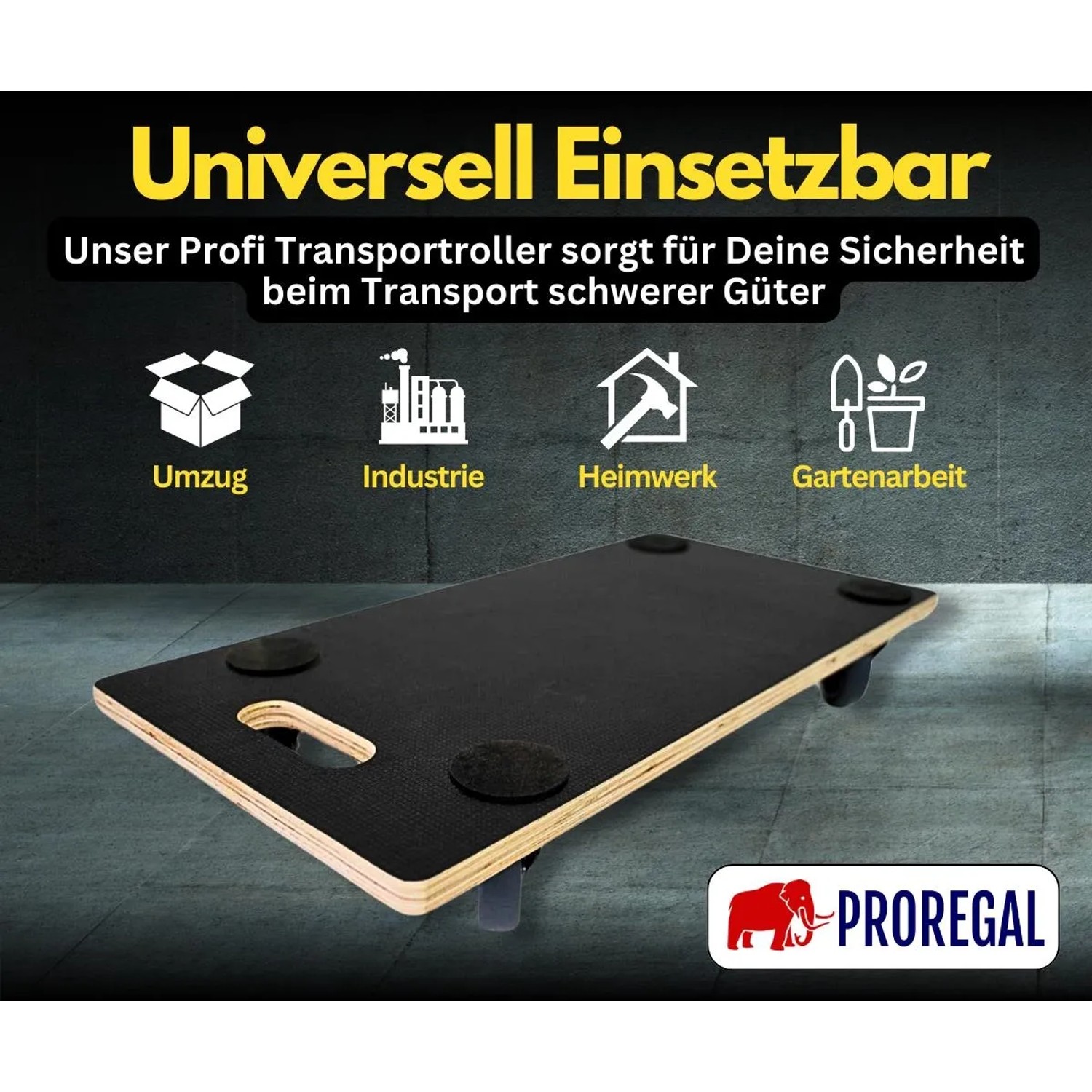 PROREGAL Transportroller, 10er-Set, mit 4 Rollen, 30x60cm, Traglast 200kg, Siebdruckplatte, schwarz.