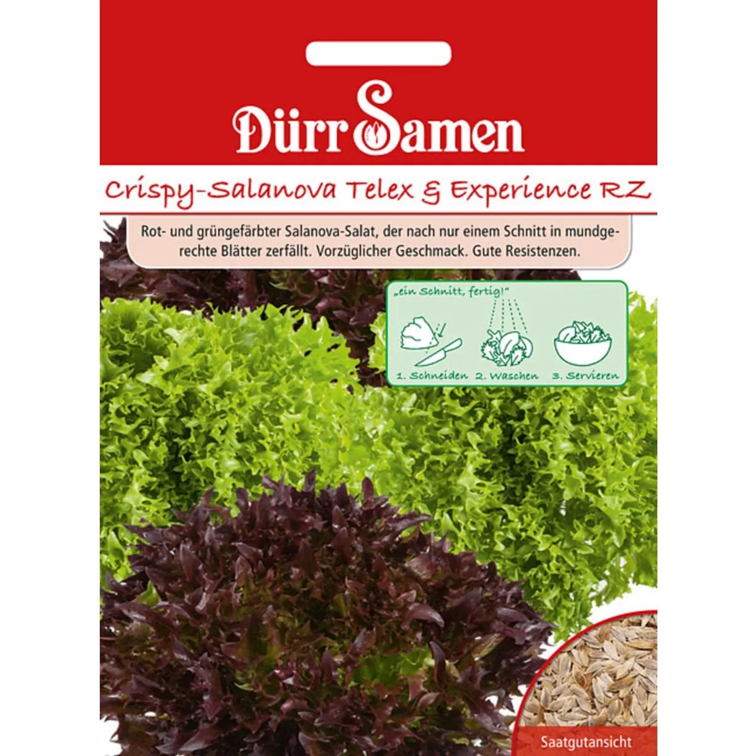 Dürr Samen Crispy-Salanova Telex + Experience Rz Saatgut