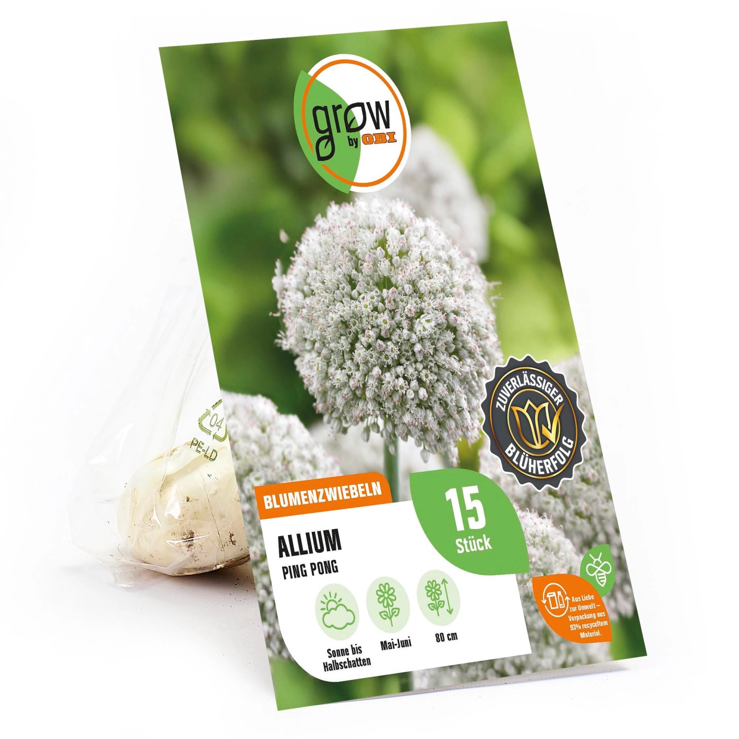 GROW by OBI Zierlauch Ping Pong Weiß 15 Stück Allium ampeloprasum Ping Pong günstig online kaufen