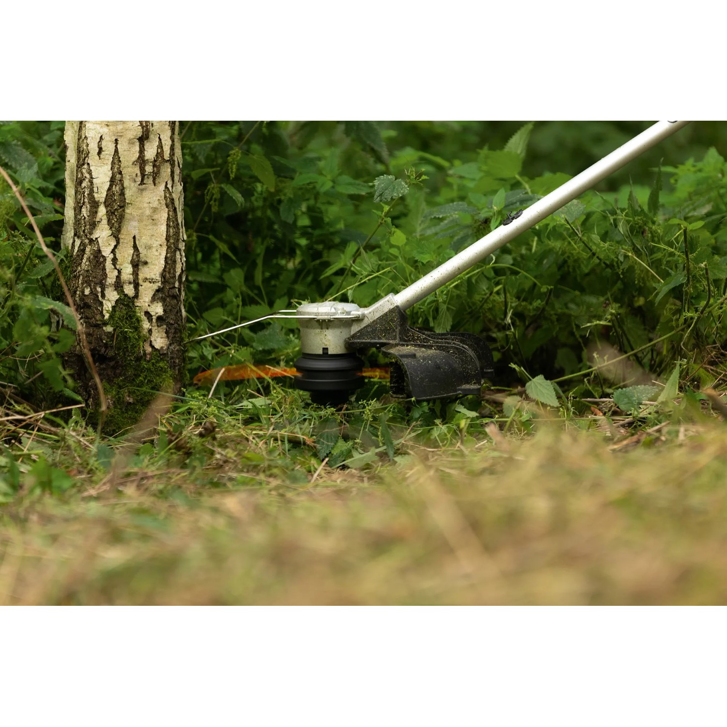 Bosch Professional Akku-Rasentrimmer GRT 18V-40 Solo beim Trimmen von Gras nahe eines Baumes.