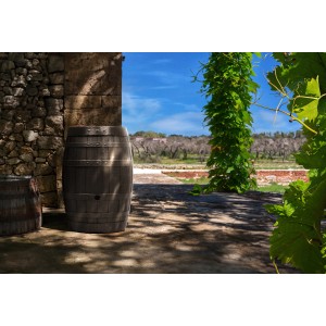 Braune Waterform Regentonne Botaqua 430 l in Fassoptik für den Garten.