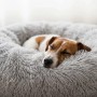 Gemütliches, hellgraues Plüsch-Hundebett mit hohem Rand, in dem ein kleiner Hund entspannt schläft. Rutschfest & waschbar.