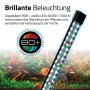 Helle RGB+weiße LED-Beleuchtung für Fluval Süßwasser-Aquarienset, die Pflanzen und Fische im Aquarium farbenfroh hervorhebt.