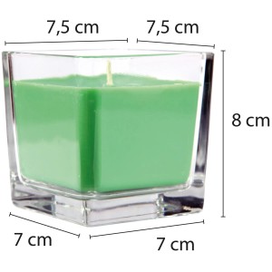 HS Candle Duftkerze Zwillinge im Glas, Coconut Limes, grüne Stumpenkerze, 50h Brenndauer.