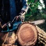 Makita Akku-Kettensäge DUC353Z im Einsatz beim Sägen eines Baumstamms. Kompakte Akku-Kettensäge.