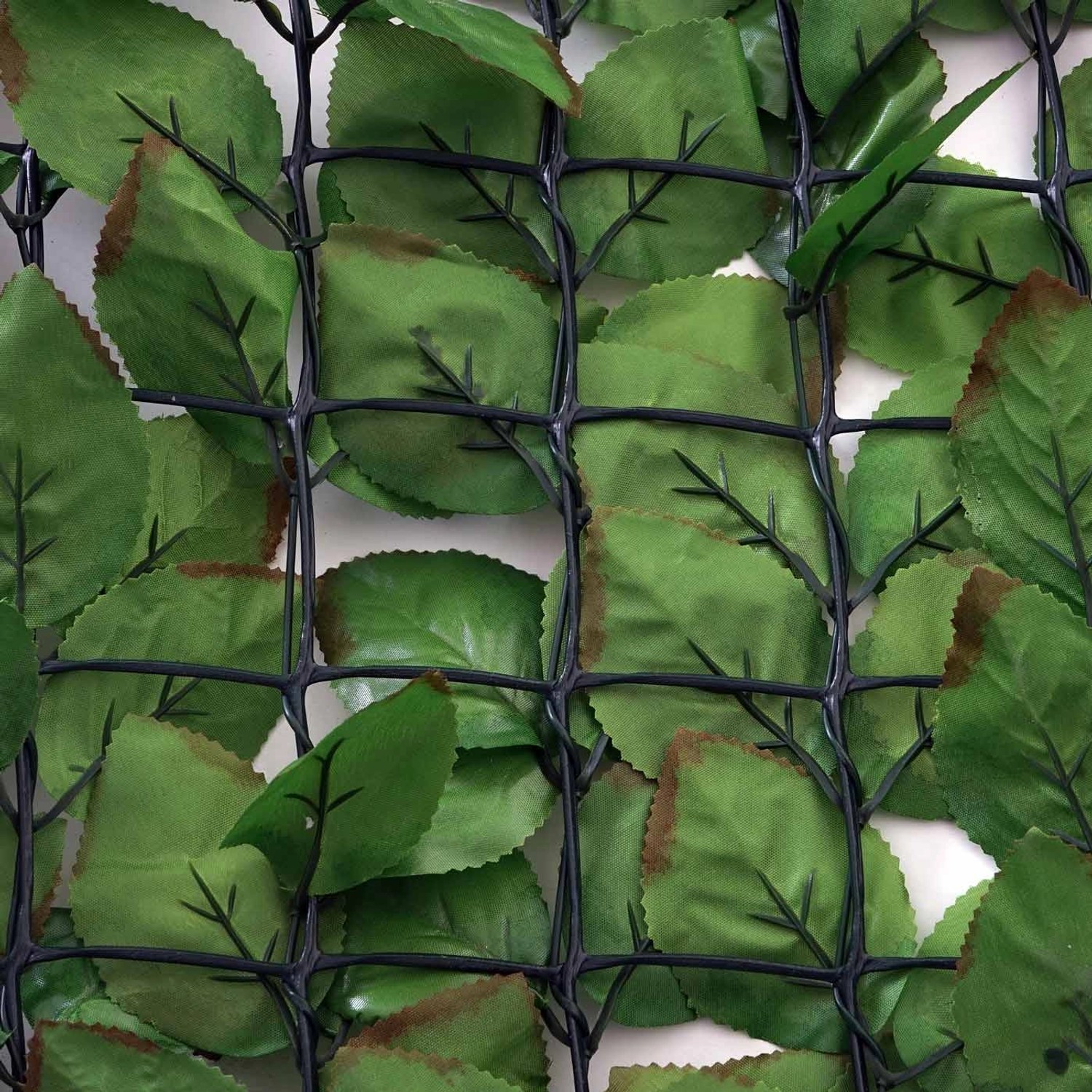 MCW Balkonsichtschutz T811 Buche, 300x150cm, hellgrüne Blätter an schwarzem Gitter.