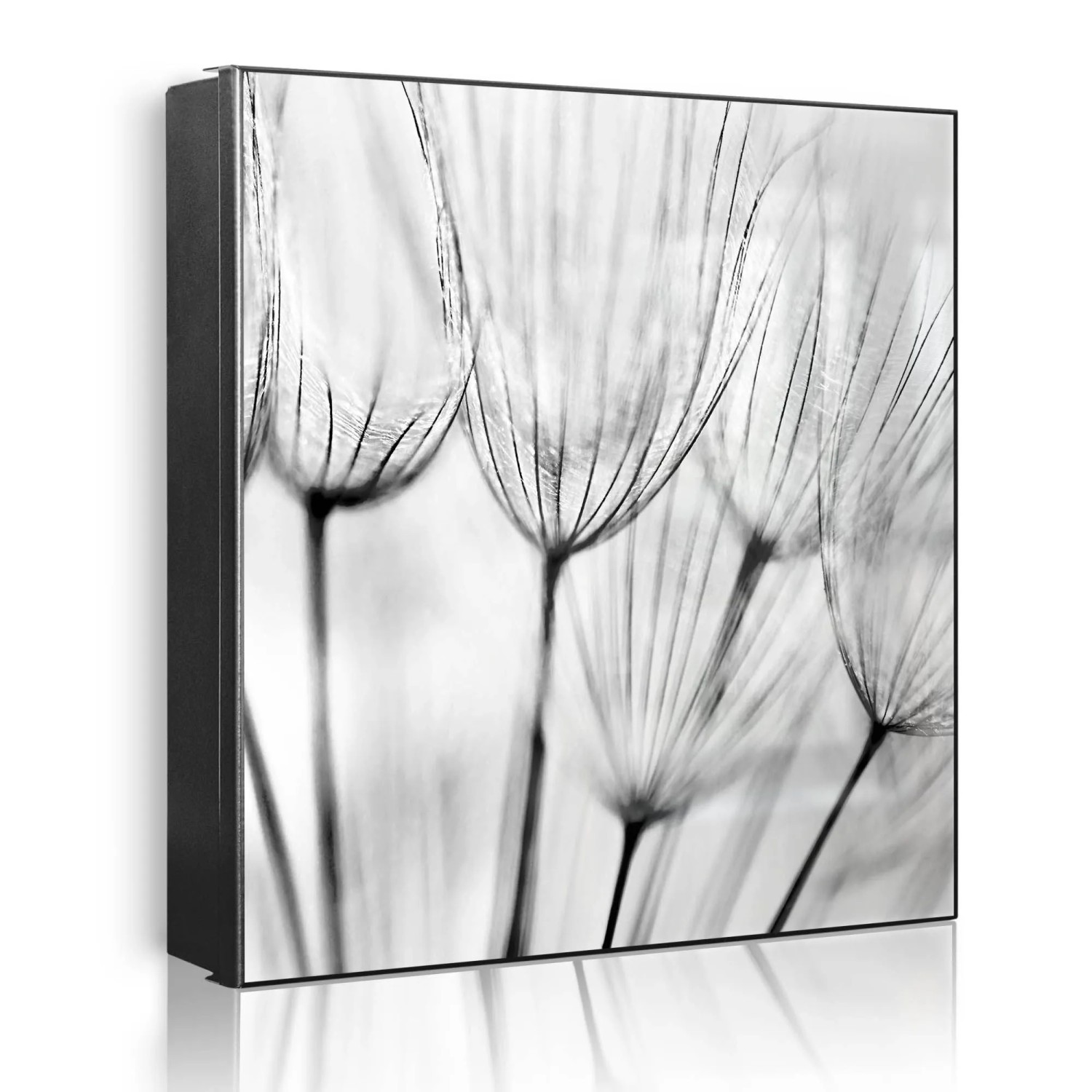Banjado Großer Schlüsselkasten Metall 30x30cm Schwarz Scharnier Links 50 Haken Beschreibbar Magnetisch Motiv Pusteblumen Sw