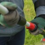 Hände in grünen Handschuhen halten Bosch Akku Teleskop-Kettensäge UniversalChainPole 18. Höhenverstellung für Äste.