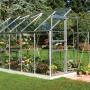 Halls Gewächshaus Popular 106 aus Alu, 6,2 m² mit Pflanzen im Garten.