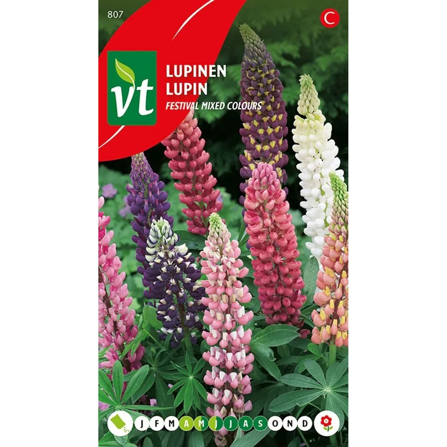 Lupine Mischung Samen Ca. 1 g Bunte Blüten