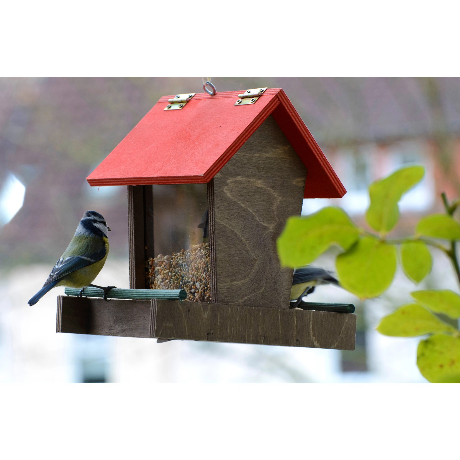 Braun-rotes Dobar Vogelhaus mit Acrylglas-Silo und zwei Blaumeisen.