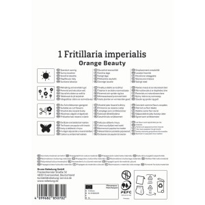 Kiepenkerl Kaiserkrone Orange Beauty Blumenzwiebel, 1 Stück. Ideal für sonnige Standorte.