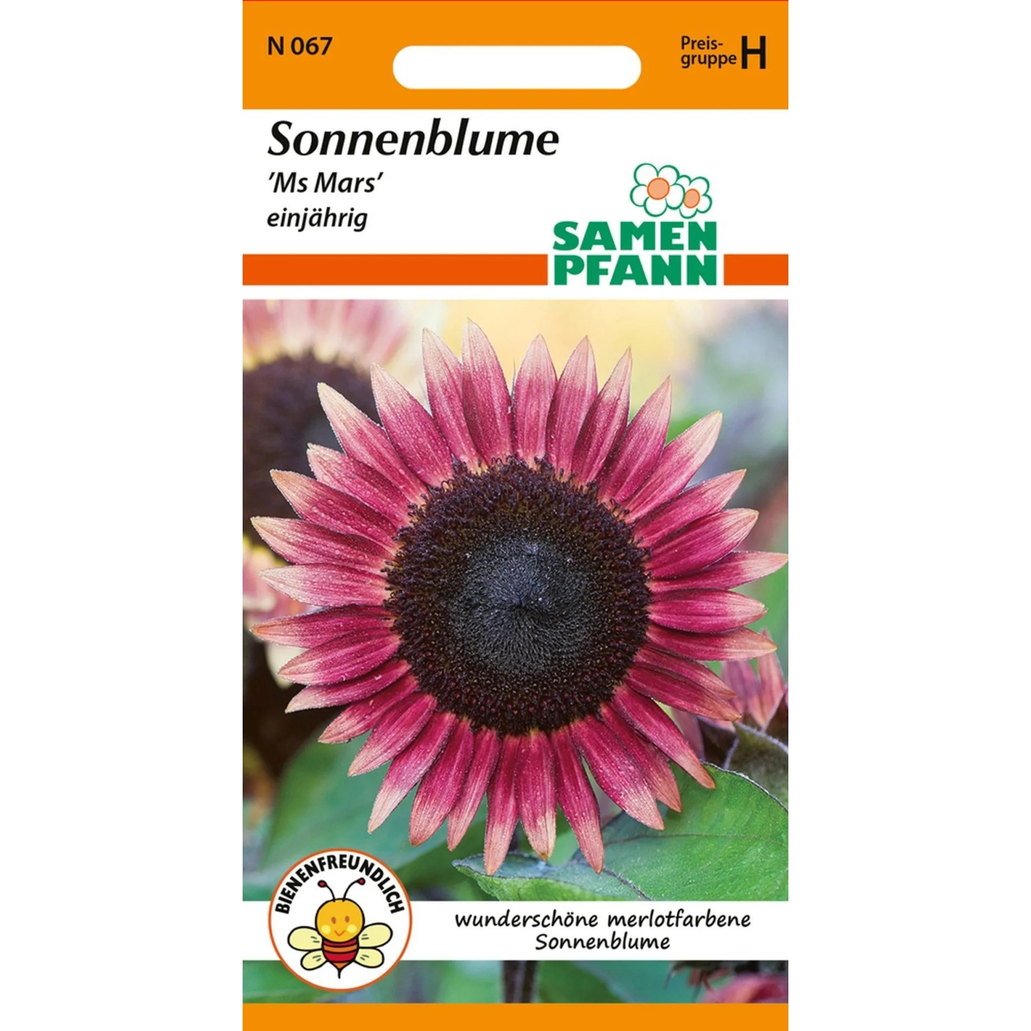 SAMEN PFANN Sonnenblume Ms Mars