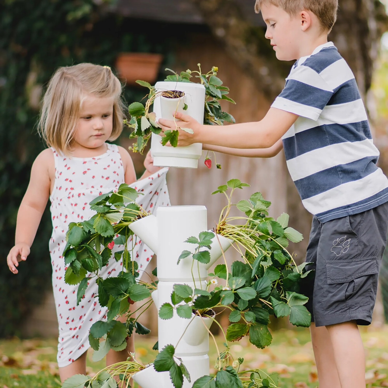 GUSTA GARDEN Sissi Strawberry (Infinity, antraciet/grijs) - plantenbak / pot /plantentoren / verhoogd bed voor aardbeien - voor balkon, tuin en terras - aardbeien en kruiden aanplanten